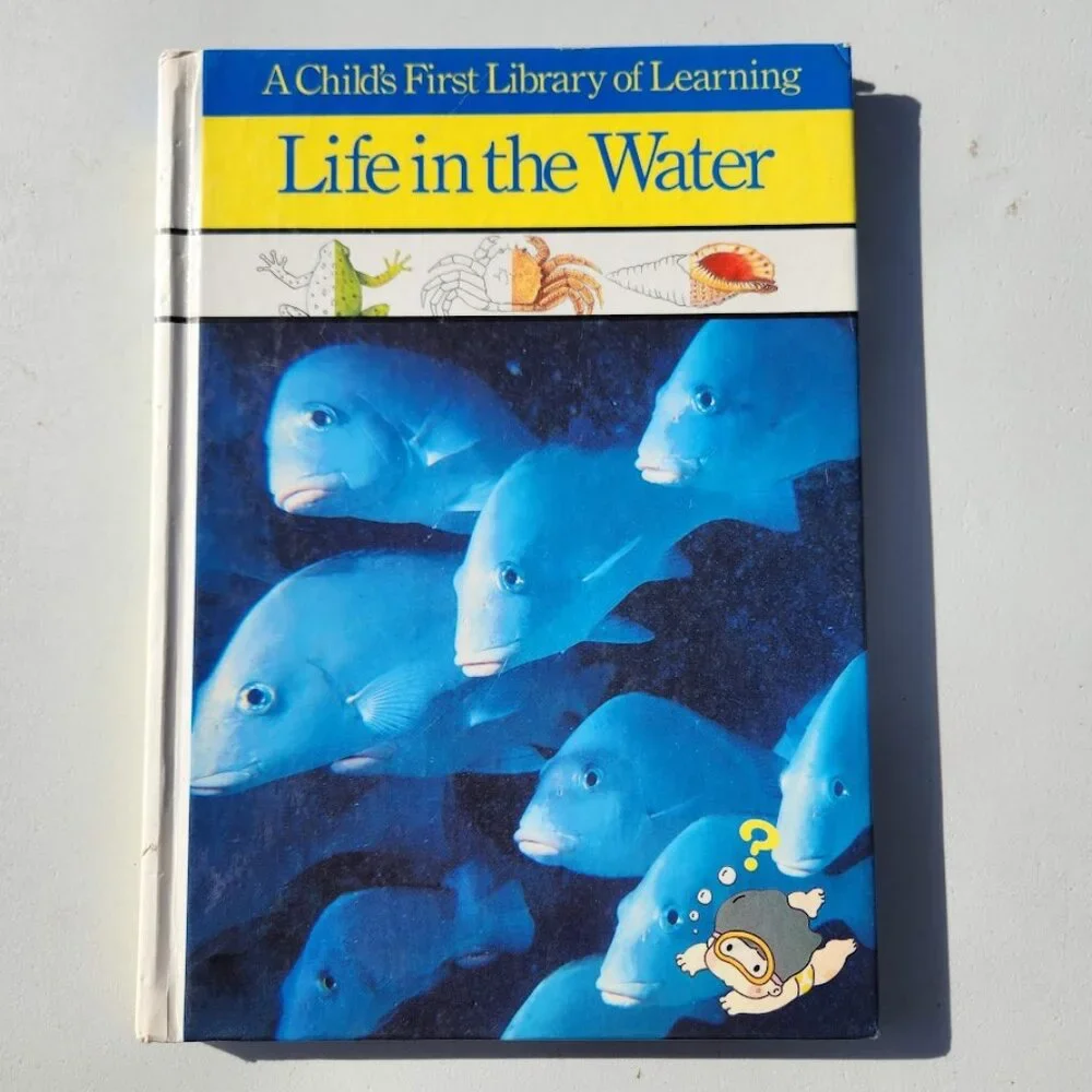 Life in the Water Child's First Library of Learning Science Stem Book Homeschool